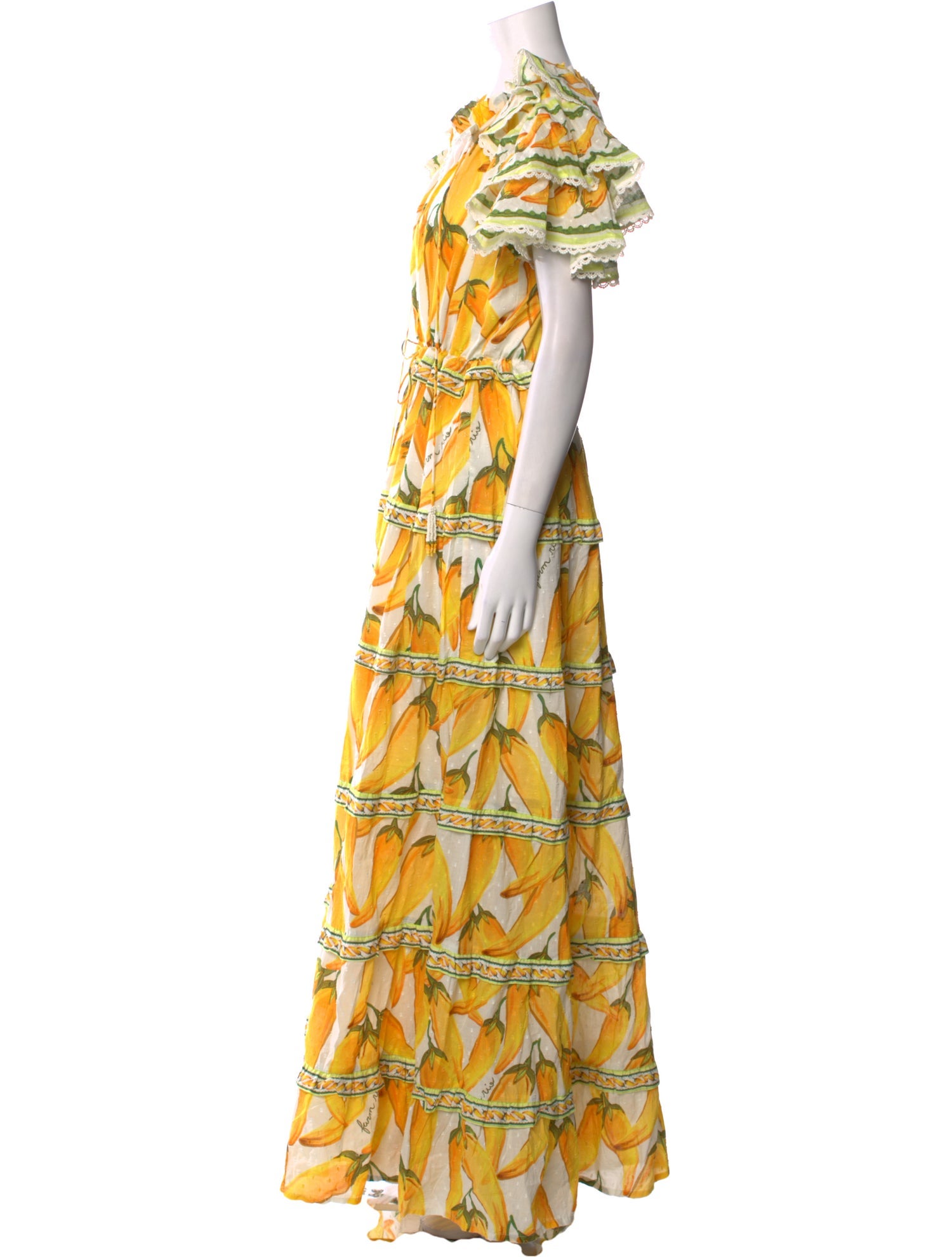 Farm Rio Printed Long Dress w/ Tags