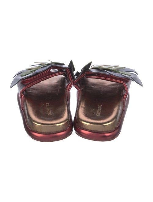 Farm Rio Leather Printed Slides