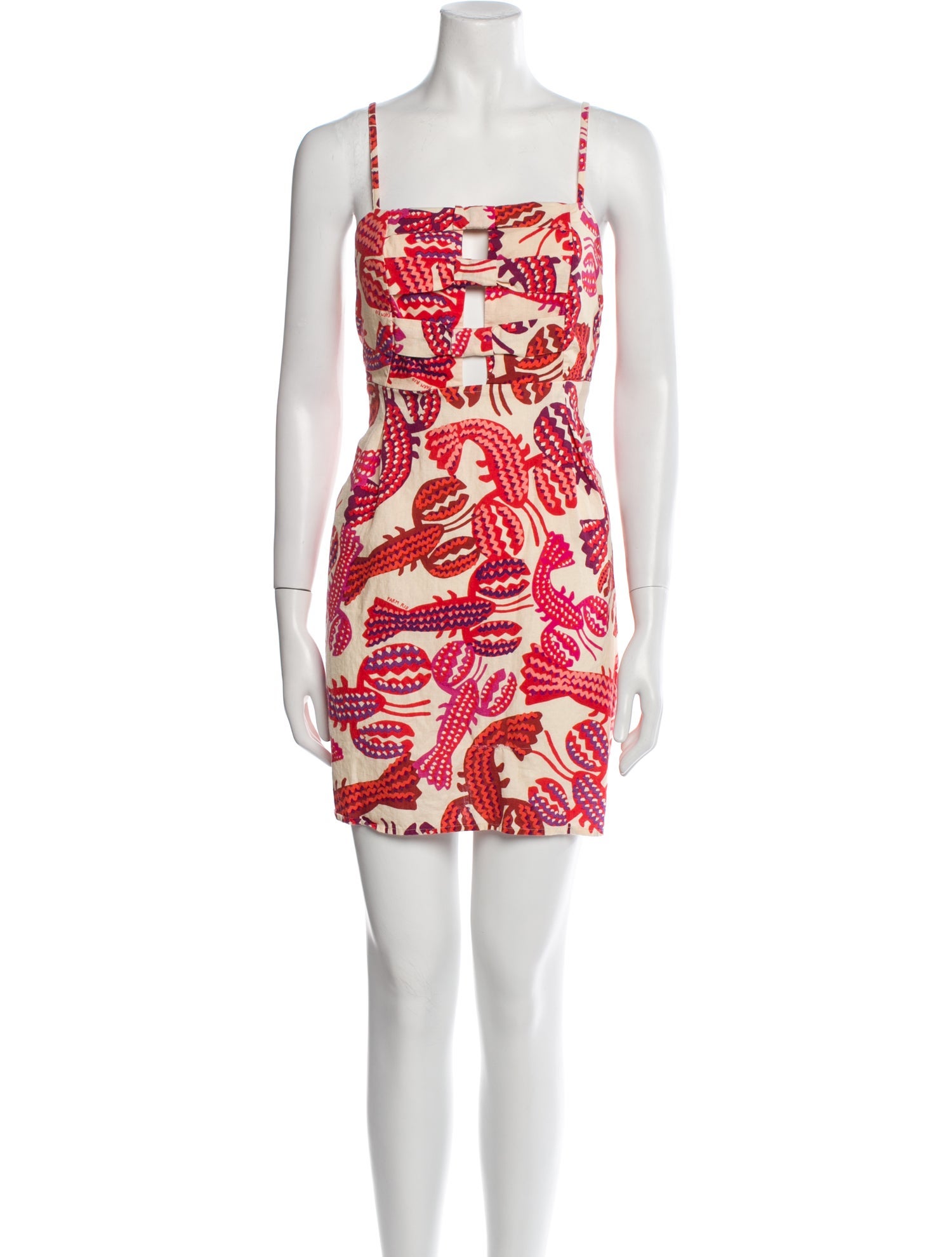 Farm Rio Printed Mini Dress