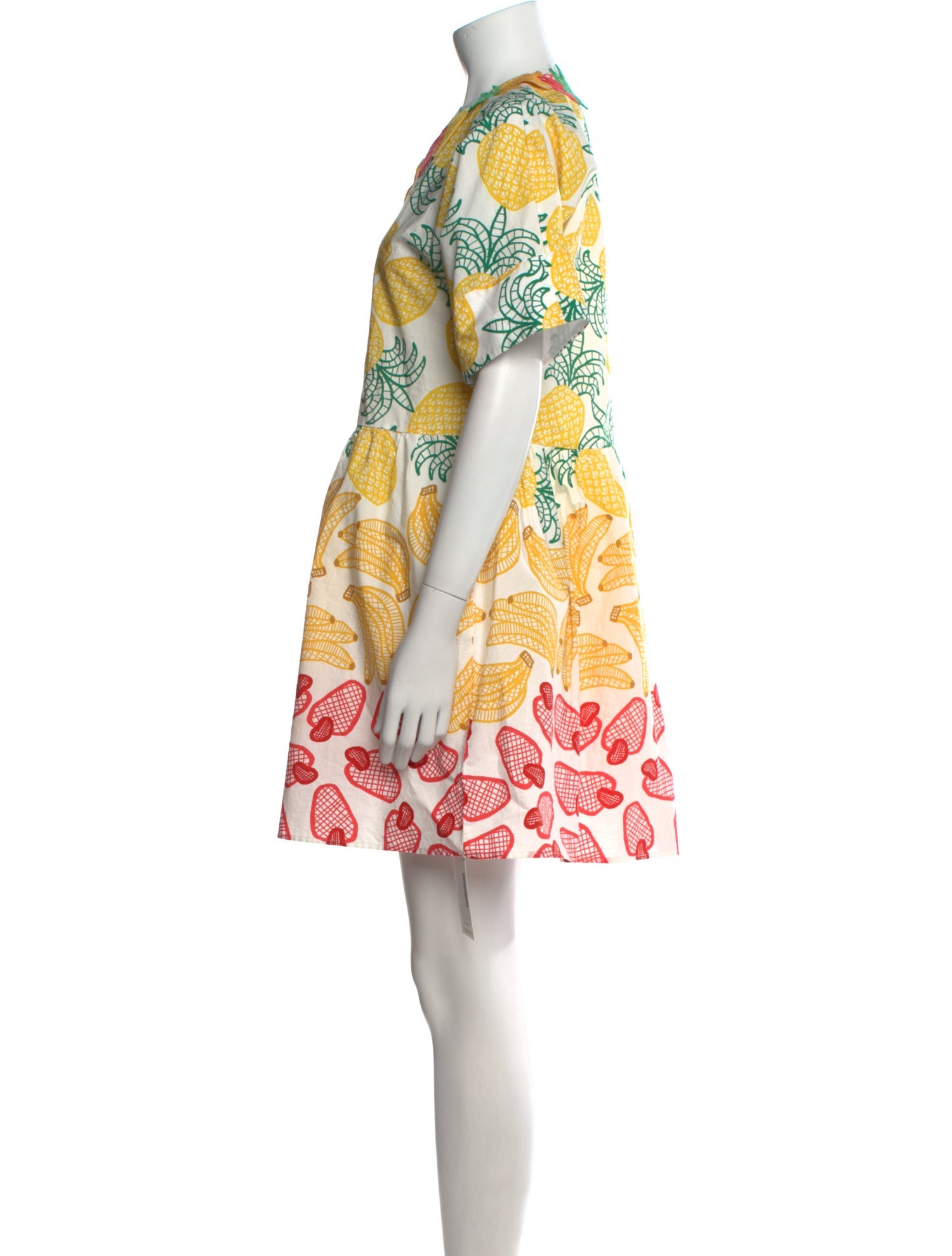 Farm Rio Printed Mini Dress