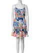 Farm Rio Printed Knee-Length Dress