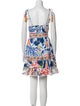 Farm Rio Printed Knee-Length Dress