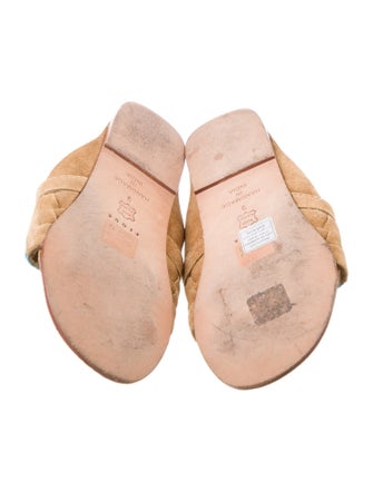 Figue Printed Slides