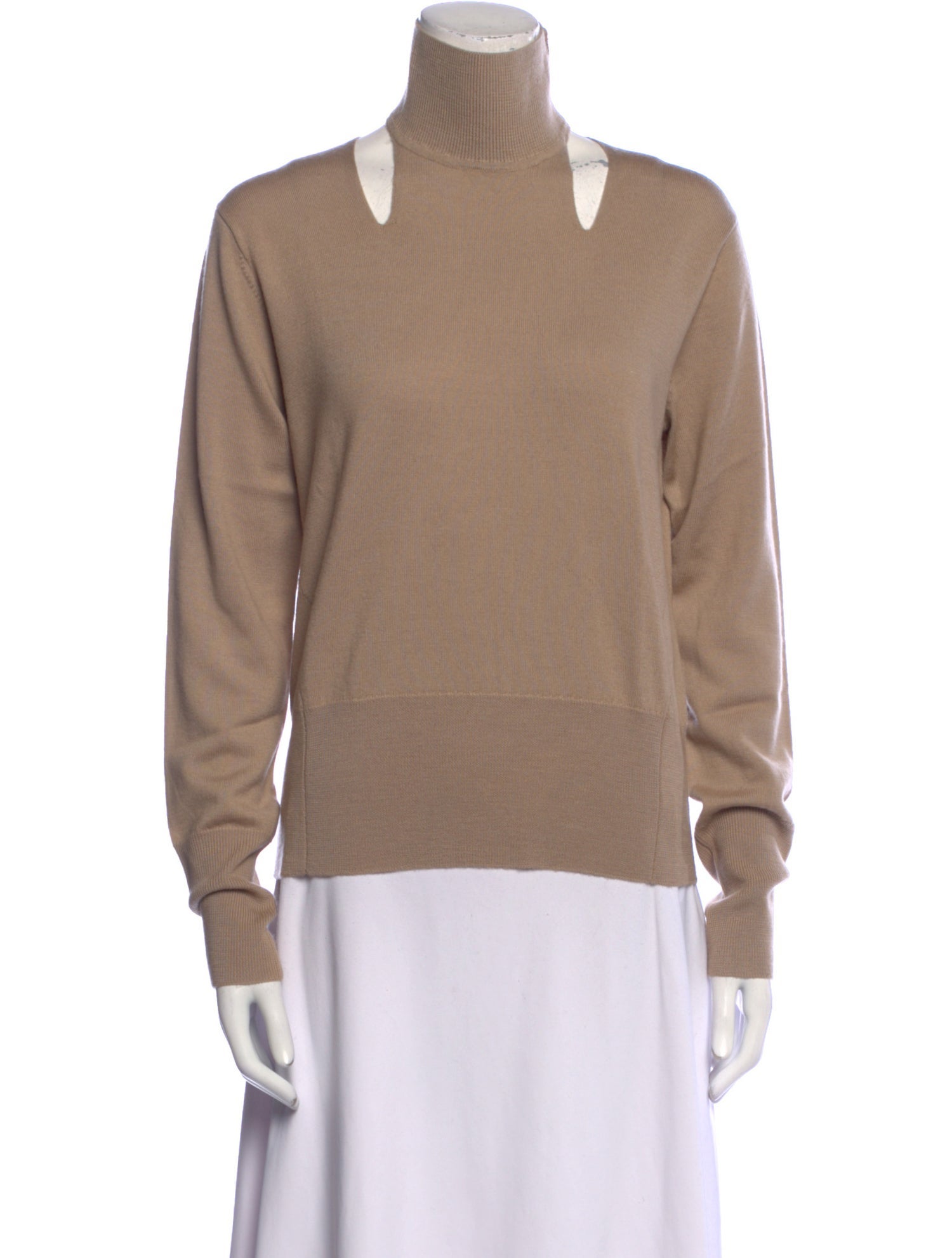 Fiorla Merino Wool Turtleneck Sweatshirt