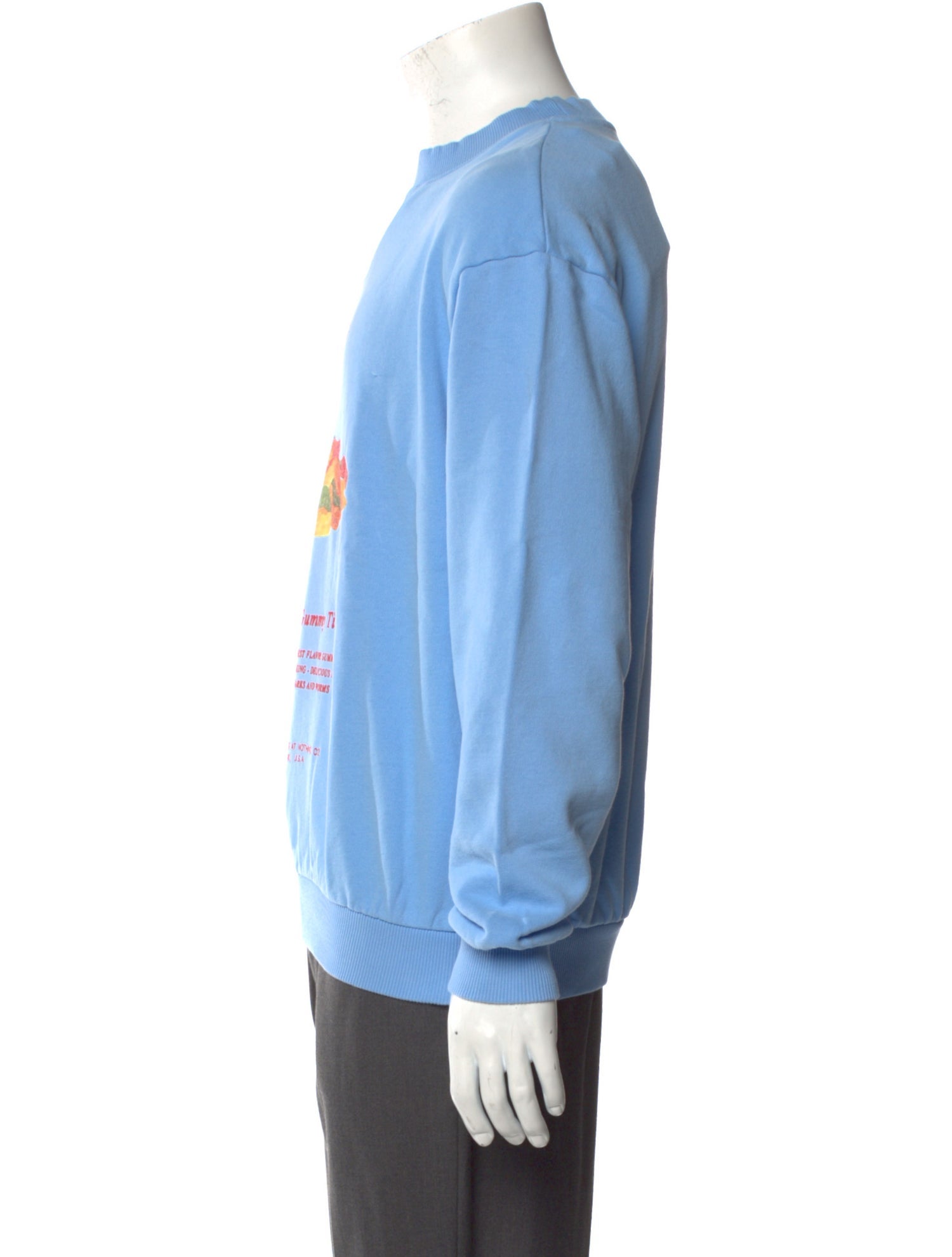 FLAN Labs Graphic Print Crew Neck Sweatshirt w/ Tags