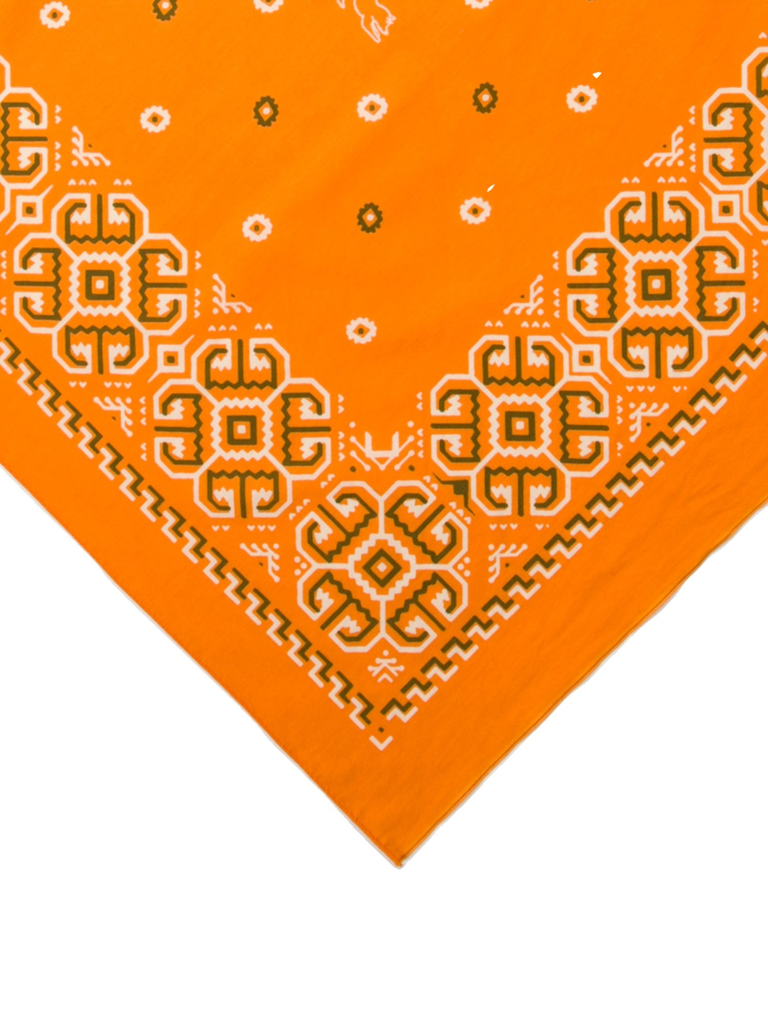 Fortela Silk Printed Scarf