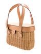 Frances Valentine Rattan Top Handle Bag