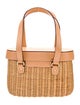 Frances Valentine Rattan Top Handle Bag