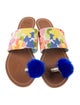 Frances Valentine Canvas Printed Slides