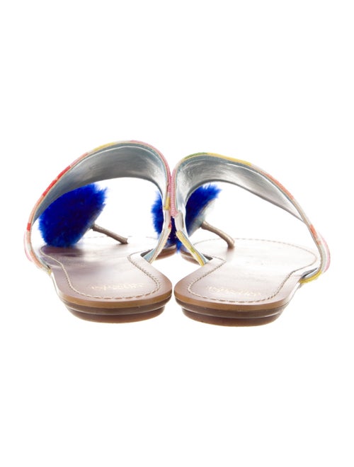 Frances Valentine Canvas Printed Slides