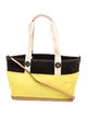 Frances Valentine Canvas Shoulder Bag