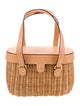 Frances Valentine Rattan Top Handle Bag