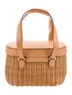 Frances Valentine Rattan Top Handle Bag