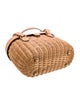 Frances Valentine Rattan Top Handle Bag