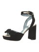 Frances Valentine Velvet Sandals