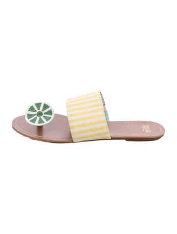Pre-owned Frances Valentine Printed Slides In Pink