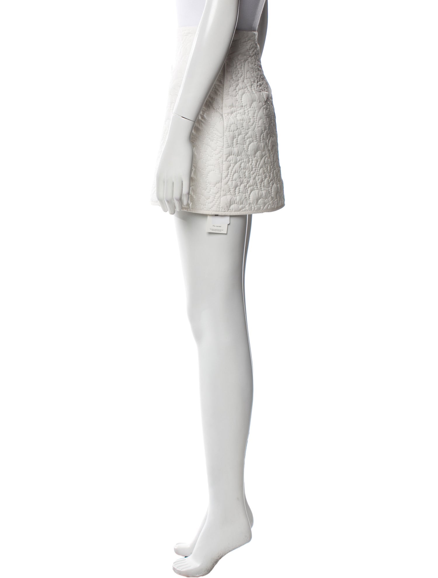 Friends with Frank. Mini Skirt