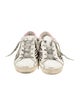 Golden Goose Pony Hair Leather Sneakers