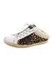 Golden Goose Ponyhair Animal Print Sneakers