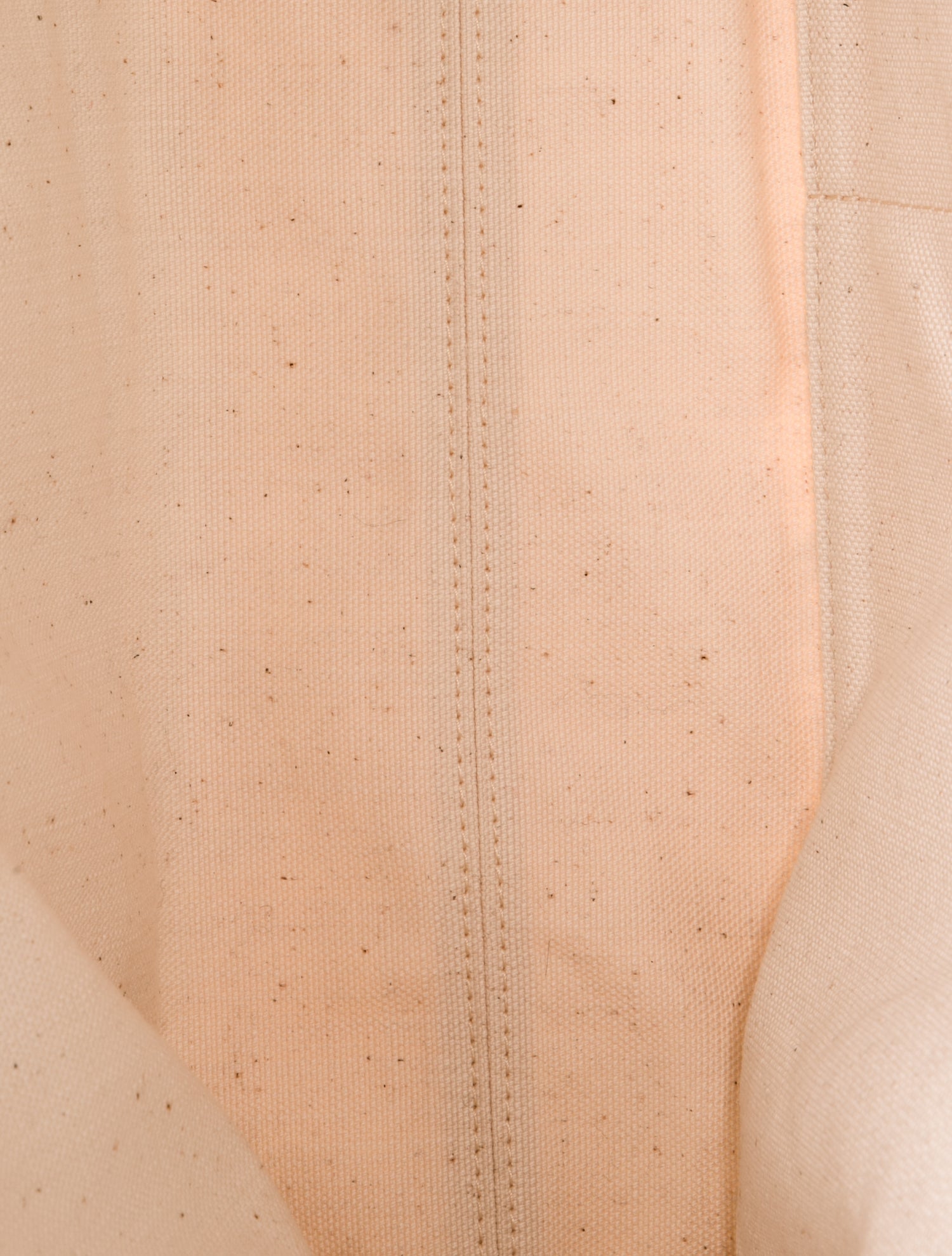 Golden Goose Canvas Tote