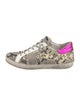 Golden Goose Superstar Sneakers