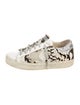 Golden Goose Ponyhair Printed Sneakers