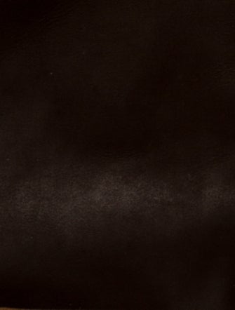 Golden Goose Canvas Hobo