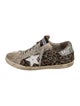 Golden Goose Superstar Sneakers
