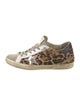 Golden Goose Superstar Sneakers