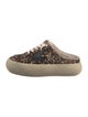 Golden Goose Ponyhair Animal Print Sneakers