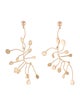 Cult Gaia Ilaria Earrings