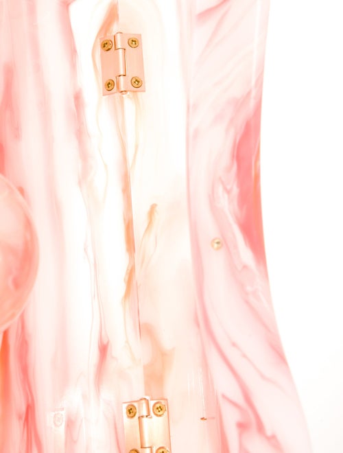 Cult Gaia Acrylic Minaudière