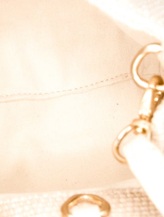 Cult Gaia Raffia Evening Bag