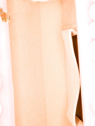 Cult Gaia Acrylic Clutch