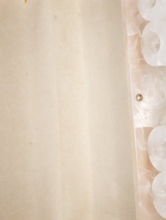 Cult Gaia Acrylic Clutch