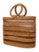 Cult Gaia Bamboo Top Handle Bag