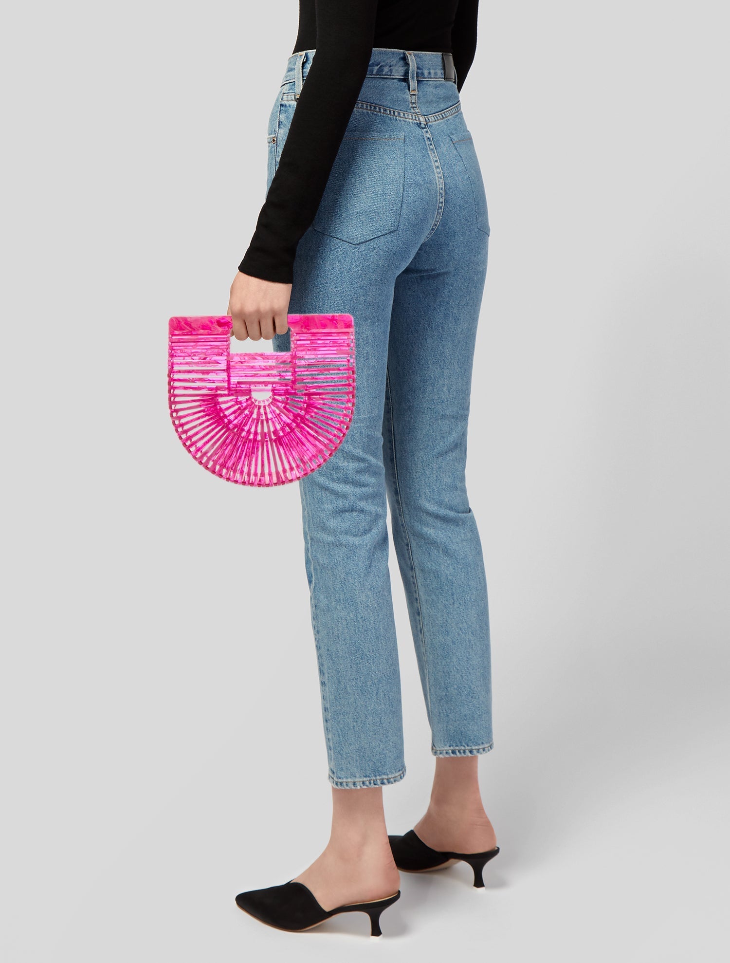 Cult Gaia Acrylic Top Handle Bag w/ Tags