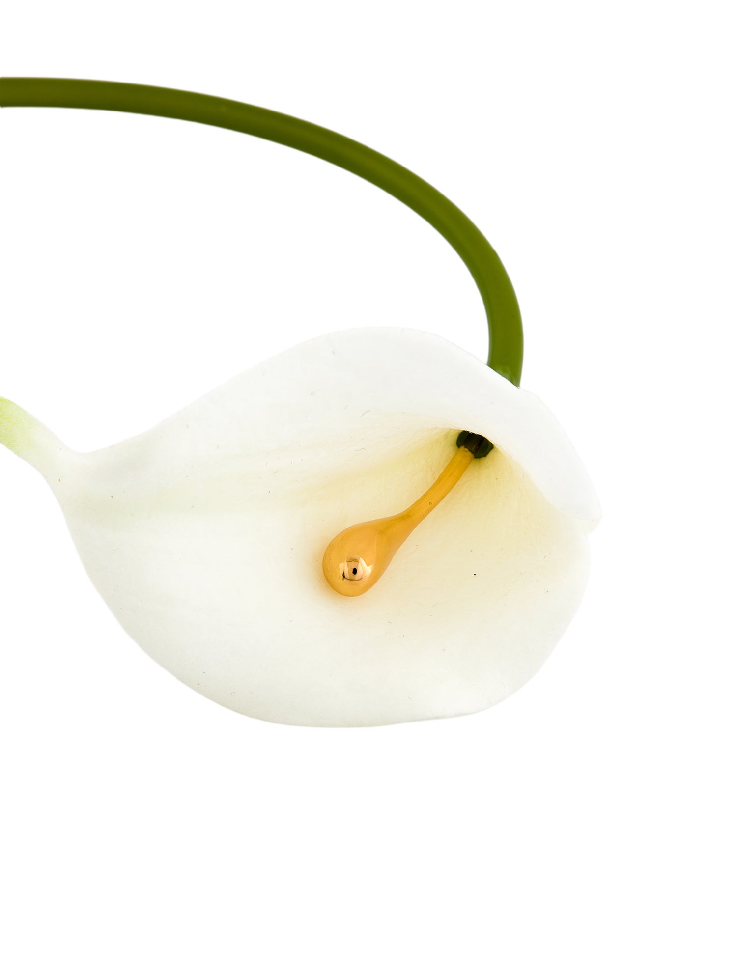 Cult Gaia 'Calla La Vine' Choker Necklace