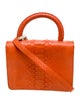 Gelareh Mizrahi Snakeskin Top Handle Bag