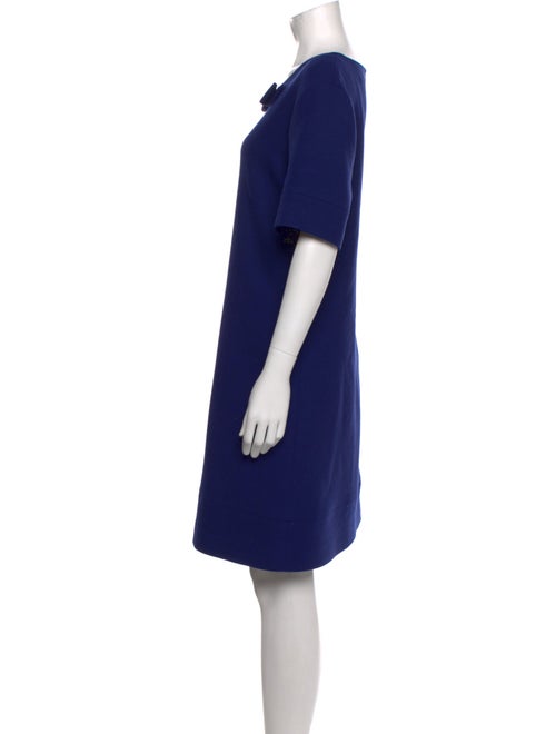 Goat Wool Knee-Length Dress