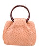 Giorgio's of Palm Beach Ostrich Handle Bag