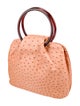 Giorgio's of Palm Beach Ostrich Handle Bag