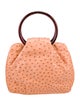 Giorgio's of Palm Beach Ostrich Handle Bag