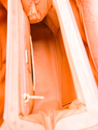 Giorgio's of Palm Beach Ostrich Handle Bag