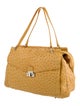 Giorgio's of Palm Beach Ostrich Shoulder Bag