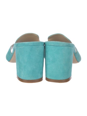 Giorgio's of Palm Beach Suede Slides