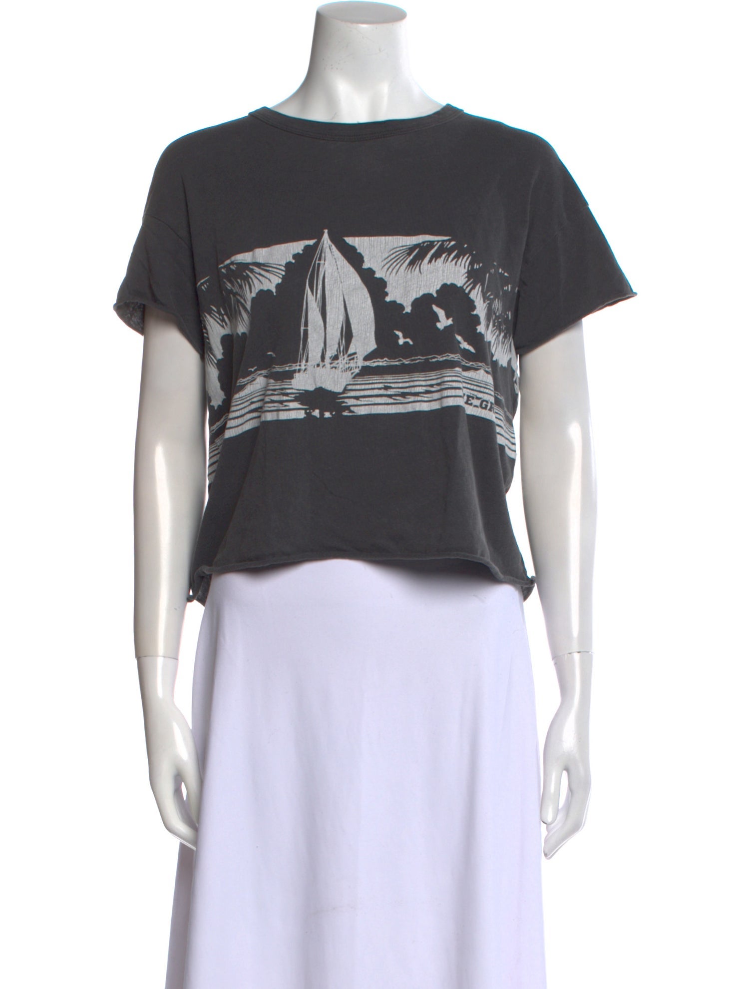 The Great Graphic Print Crew Neck T-Shirt