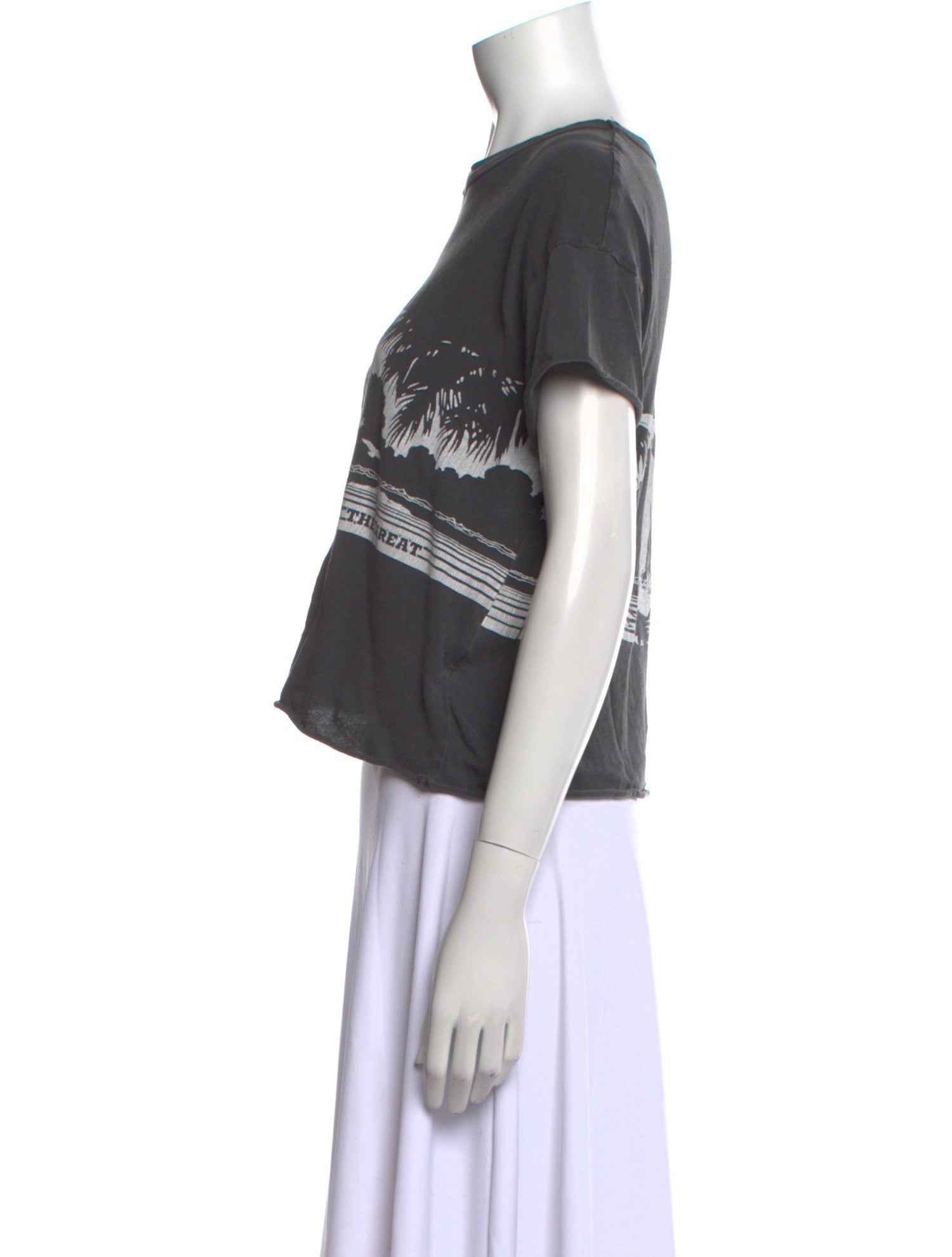 The Great Graphic Print Crew Neck T-Shirt