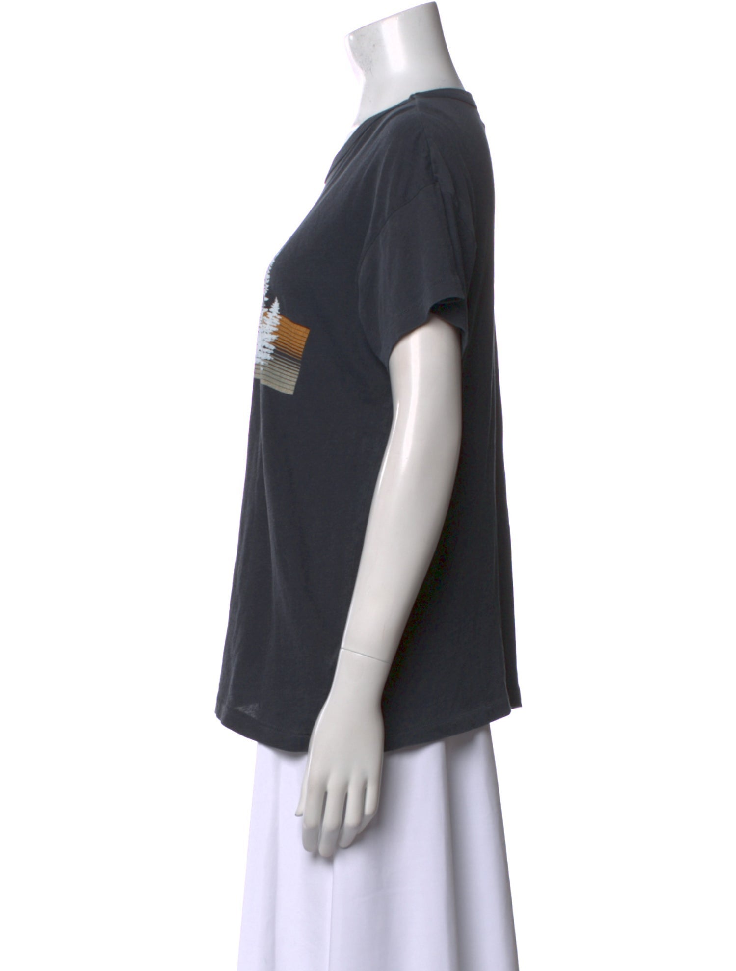 The Great Graphic Print Crew Neck T-Shirt