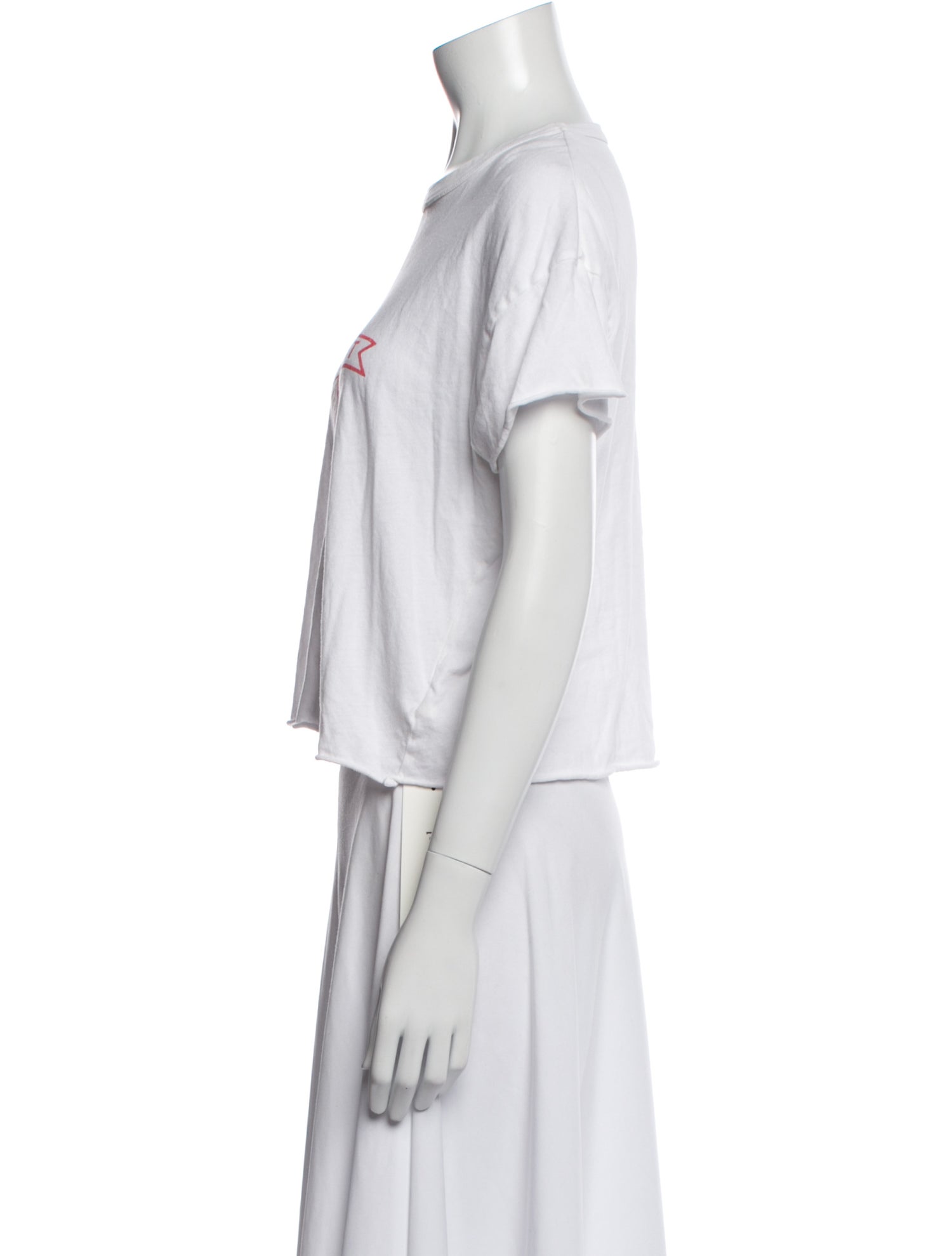 The Great Graphic Print Crew Neck T-Shirt